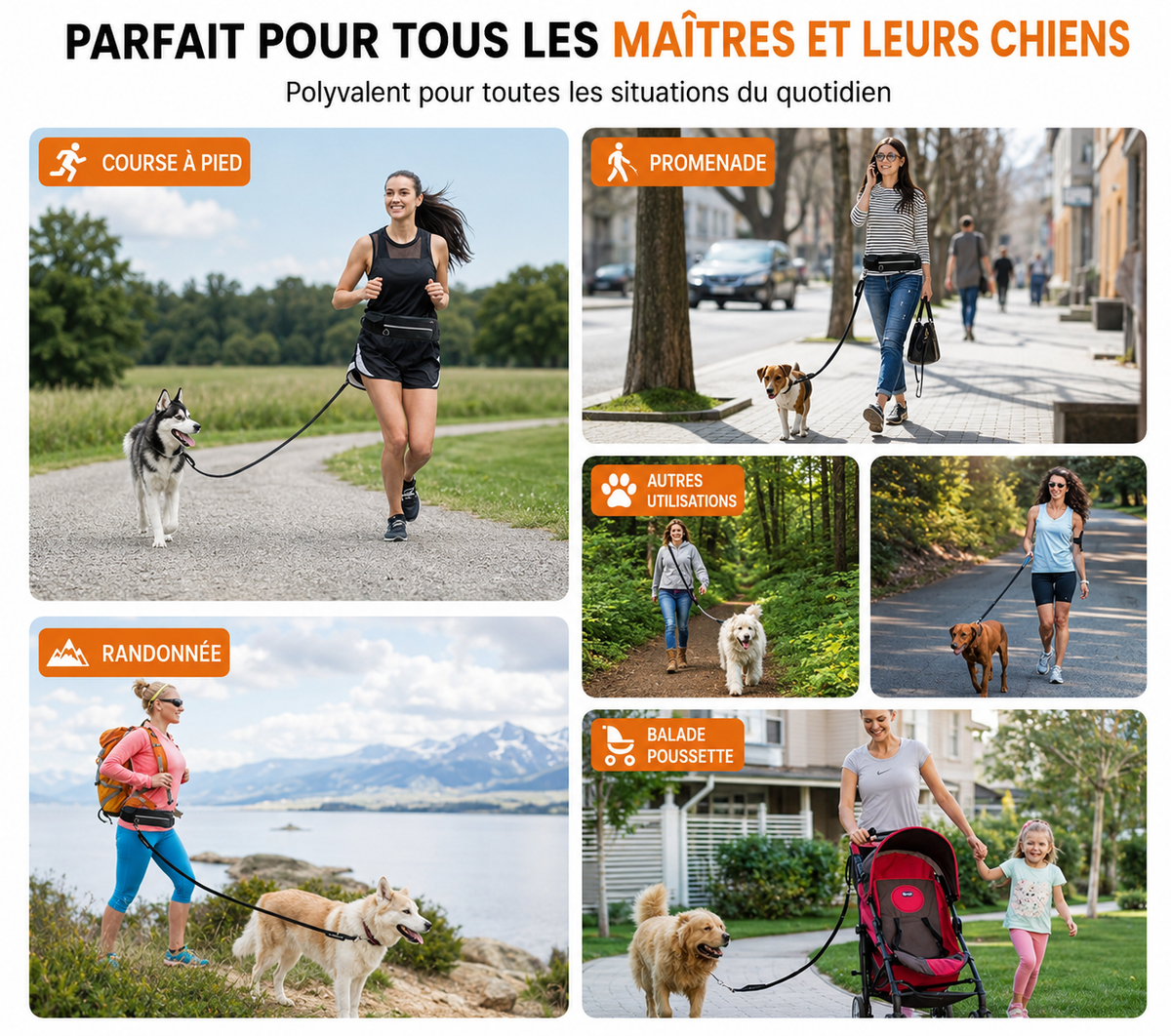 Laisse pour chien mains libres, incluant une laisse élastique amortissante, une poche pour téléphone et un porte-bouteille.