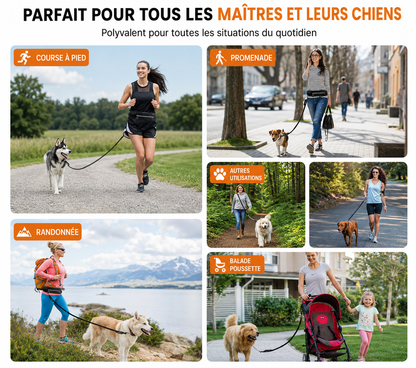 Laisse pour chien mains libres, incluant une laisse élastique amortissante, une poche pour téléphone et un porte-bouteille.